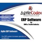 Enterprise Resource Planning ( ERP )